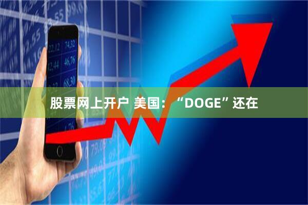 股票网上开户 美国：“DOGE”还在