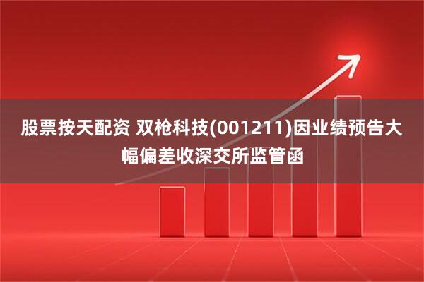 股票按天配资 双枪科技(001211)因业绩预告大幅偏差收深交所监管函